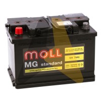 Moll MG Standard 75L 720A