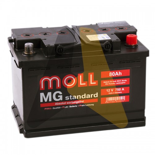 Автомобильный аккумулятор Moll MG Standard 80R 750A