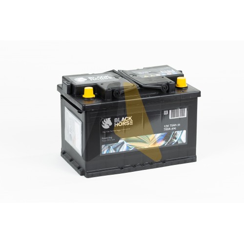 Автомобильный аккумулятор Black Horse 75R 700A